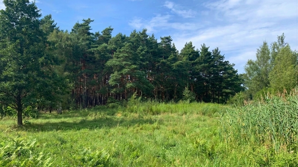 Działka na sprzedaż Międzywodzie 1 817 m2 | Arka Nieruchomości