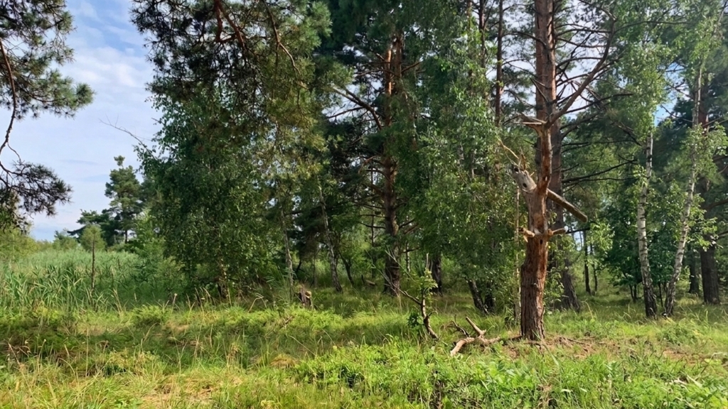 Działka na sprzedaż Międzywodzie 1 817 m2 | Arka Nieruchomości