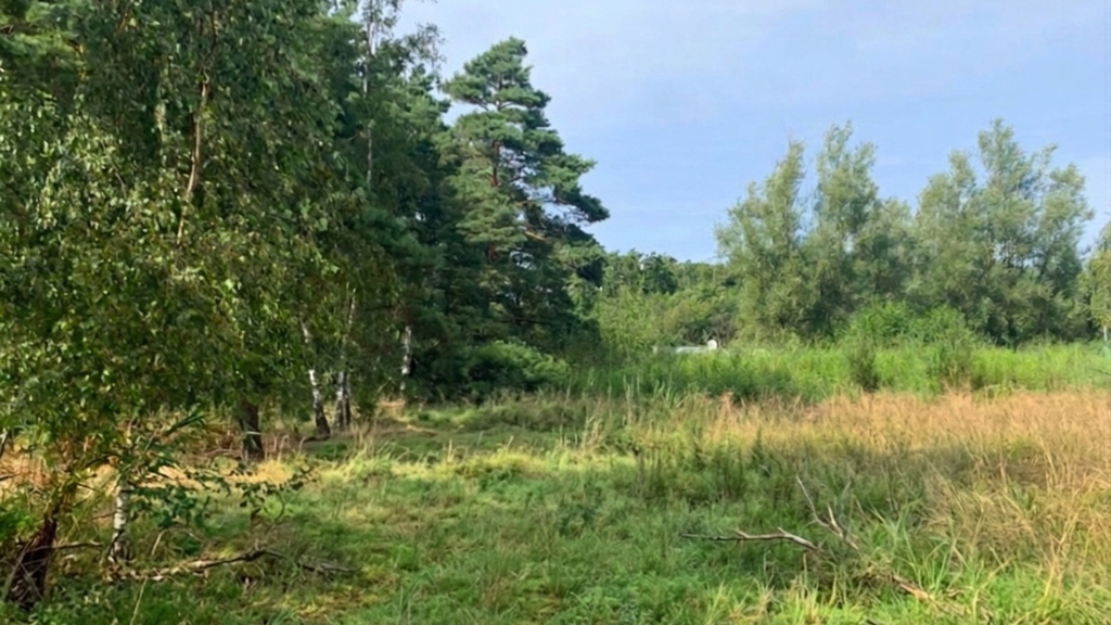 Działka na sprzedaż Międzywodzie 1 817 m2 | Arka Nieruchomości