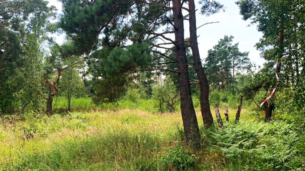 Działka na sprzedaż Międzywodzie 1 817 m2 | Arka Nieruchomości