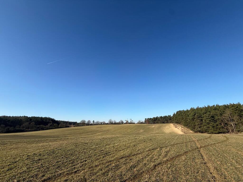 Działka na sprzedaż Buk 1 622 m2 | Arka Nieruchomości
