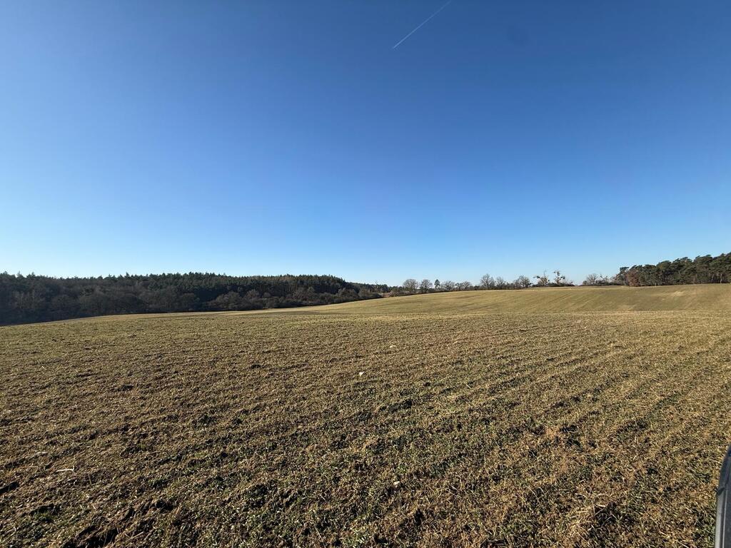Działka na sprzedaż Buk 1 622 m2 | Arka Nieruchomości