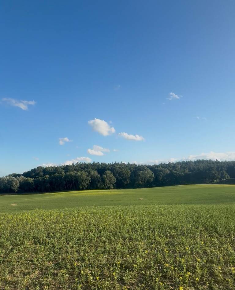 Działka na sprzedaż Buk 1 661 m2 | Arka Nieruchomości