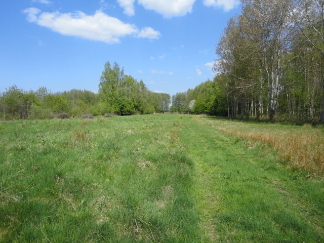 Działka na sprzedaż Trzebież 8 000 m2 | Arka Nieruchomości