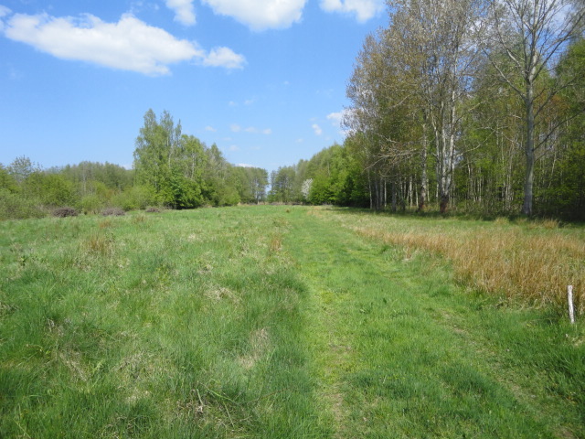 Działka na sprzedaż Trzebież 8 000 m2 | Arka Nieruchomości