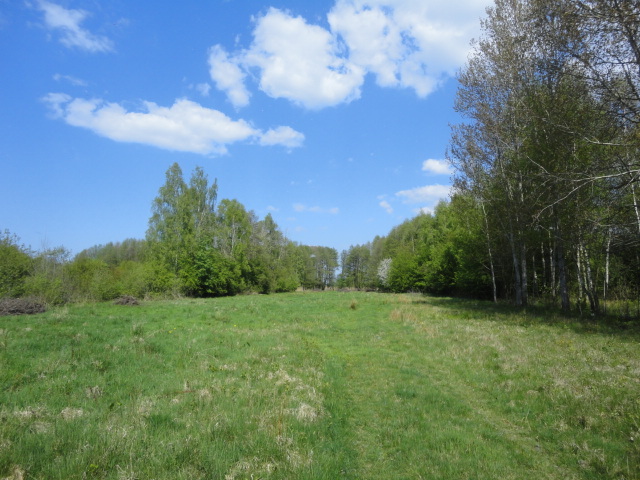 Działka na sprzedaż Trzebież 8 000 m2 | Arka Nieruchomości