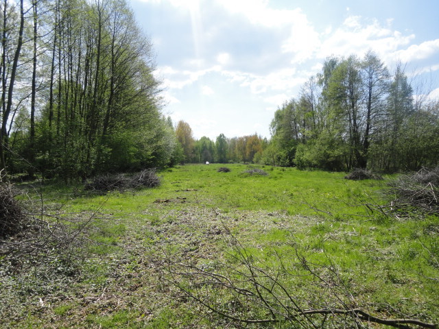 Działka na sprzedaż Trzebież 8 000 m2 | Arka Nieruchomości