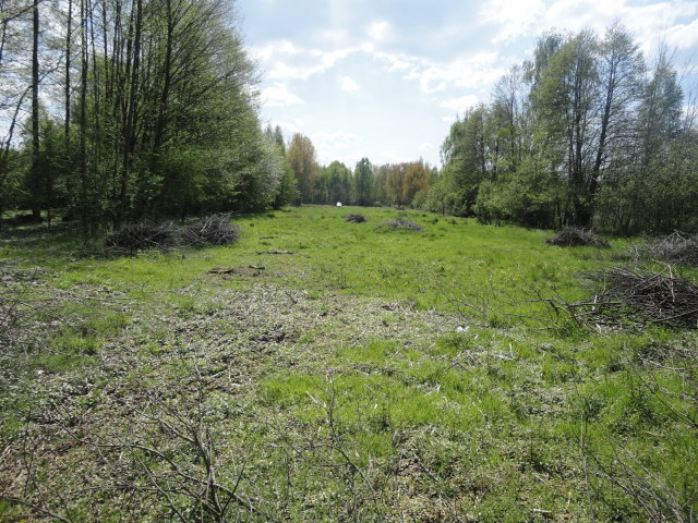 Działka na sprzedaż Trzebież 8 000 m2 | Arka Nieruchomości