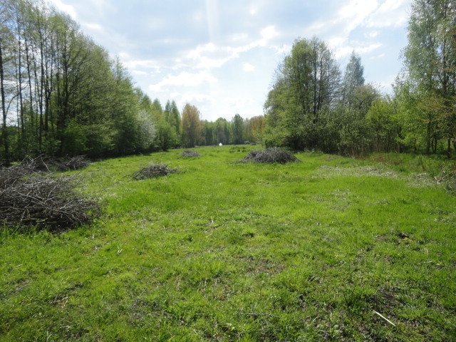 Działka na sprzedaż Trzebież 8 000 m2 | Arka Nieruchomości