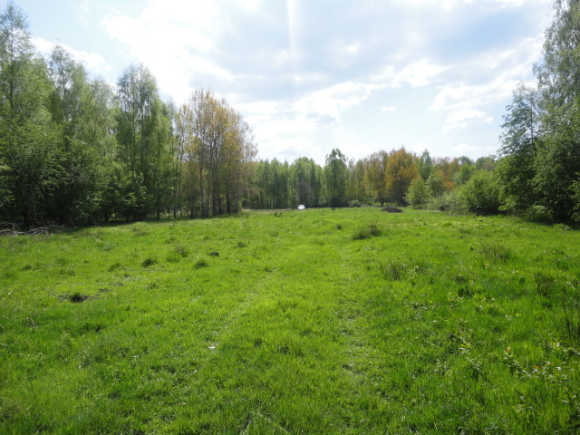 Działka na sprzedaż Trzebież 8 000 m2 | Arka Nieruchomości