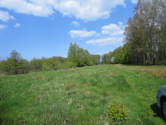 Działka na sprzedaż Trzebież 8 000 m2 | Arka Nieruchomości