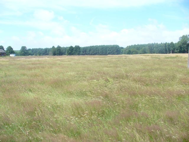 Działka na sprzedaż Domysłów 34 079 m2 | Arka Nieruchomości