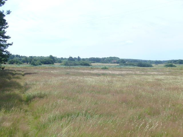 Działka na sprzedaż Domysłów 34 079 m2 | Arka Nieruchomości