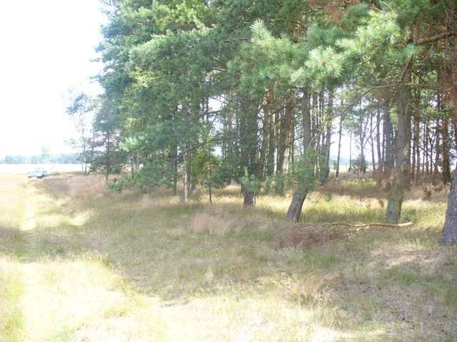 Działka na sprzedaż Domysłów 34 079 m2 | Arka Nieruchomości