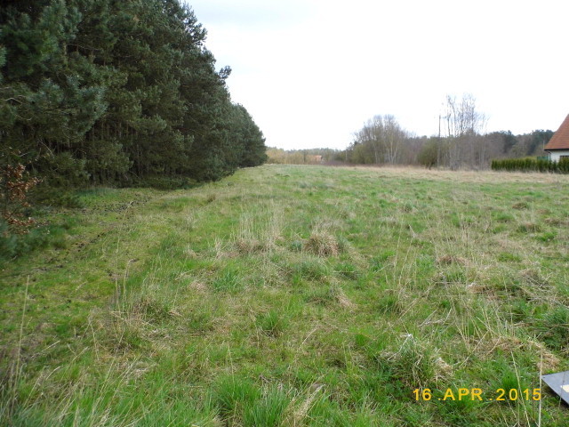 Działka na sprzedaż Brzózki 5 000 m2 | Arka Nieruchomości