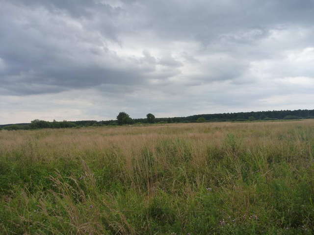 Działka na sprzedaż Dobra 2 122 m2 | Arka Nieruchomości