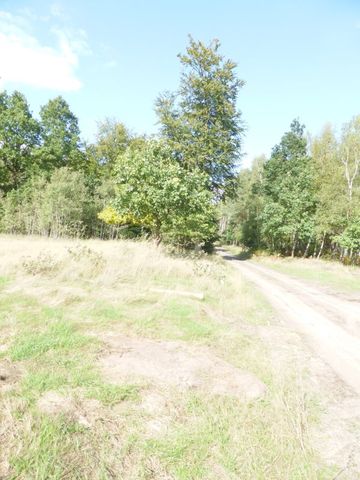 Działka na sprzedaż Grzepnica 14 000 m2 | Arka Nieruchomości