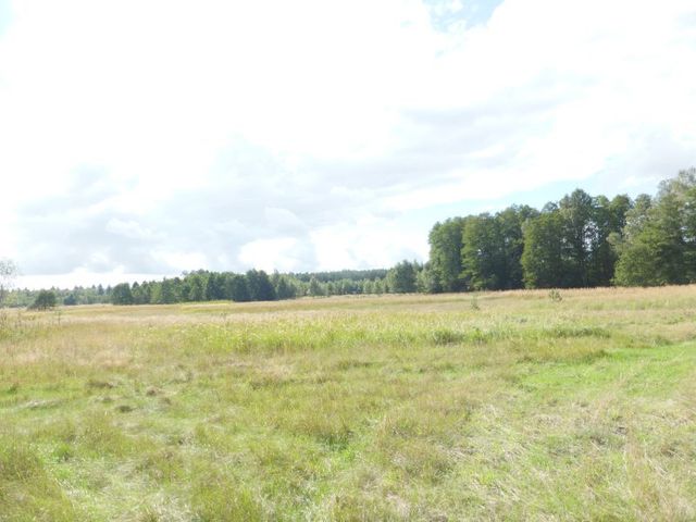 Działka na sprzedaż Grzepnica 14 000 m2 | Arka Nieruchomości