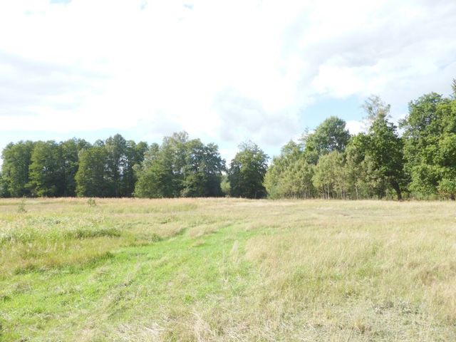 Działka na sprzedaż Grzepnica 14 000 m2 | Arka Nieruchomości