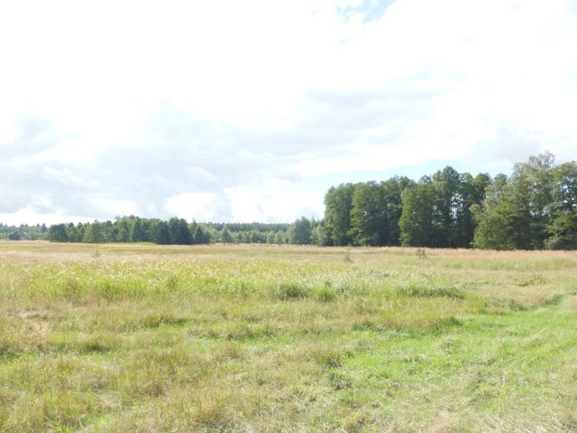 Działka na sprzedaż Grzepnica 14 000 m2 | Arka Nieruchomości