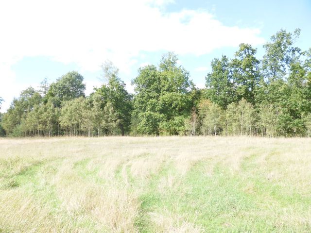 Działka na sprzedaż Grzepnica 14 000 m2 | Arka Nieruchomości