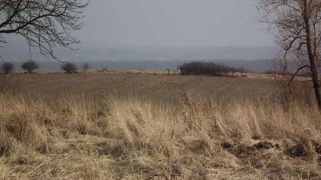 Działka na sprzedaż Siadło Dolne 48 363 m2 | Arka Nieruchomości