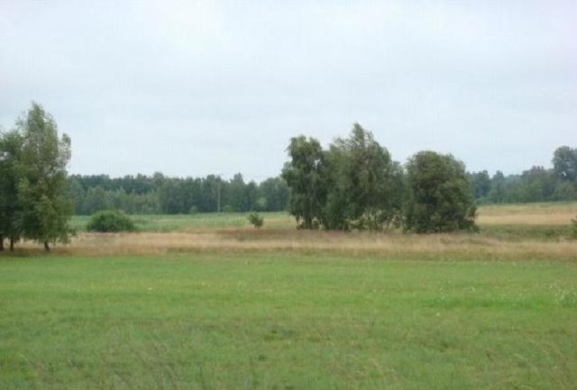 Działka na sprzedaż Kołczewo 3 006 m2 | Arka Nieruchomości