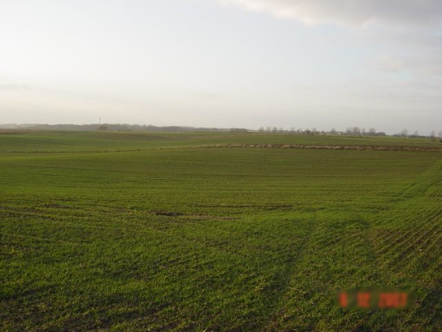 Działka na sprzedaż Siadło Górne 3 000 m2 | Arka Nieruchomości