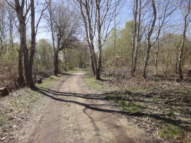 Działka na sprzedaż Trzebież 8 000 m2 | Arka Nieruchomości