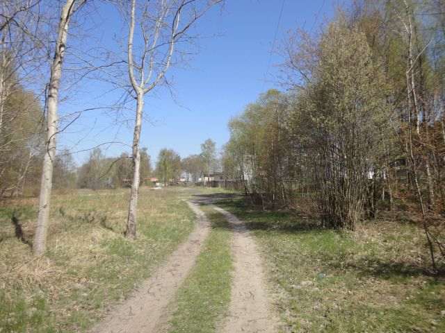 Działka na sprzedaż Trzebież 8 000 m2 | Arka Nieruchomości