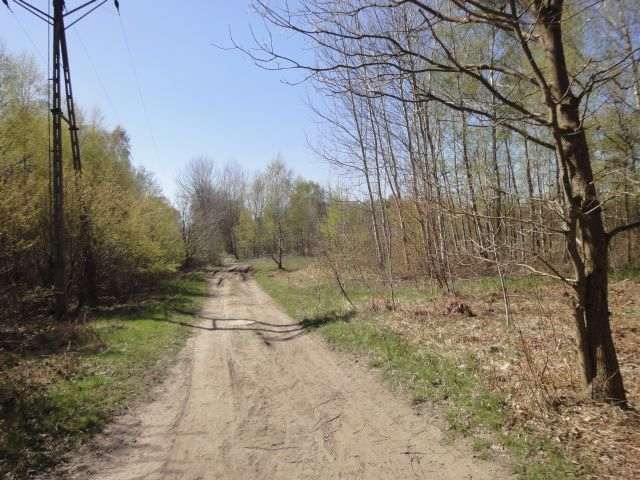 Działka na sprzedaż Trzebież 8 000 m2 | Arka Nieruchomości