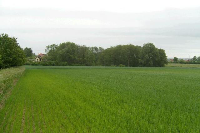 Działka na sprzedaż Siadło Górne 11 100 m2 | Arka Nieruchomości