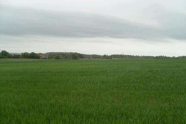 Działka na sprzedaż Siadło Górne 11 100 m2 | Arka Nieruchomości