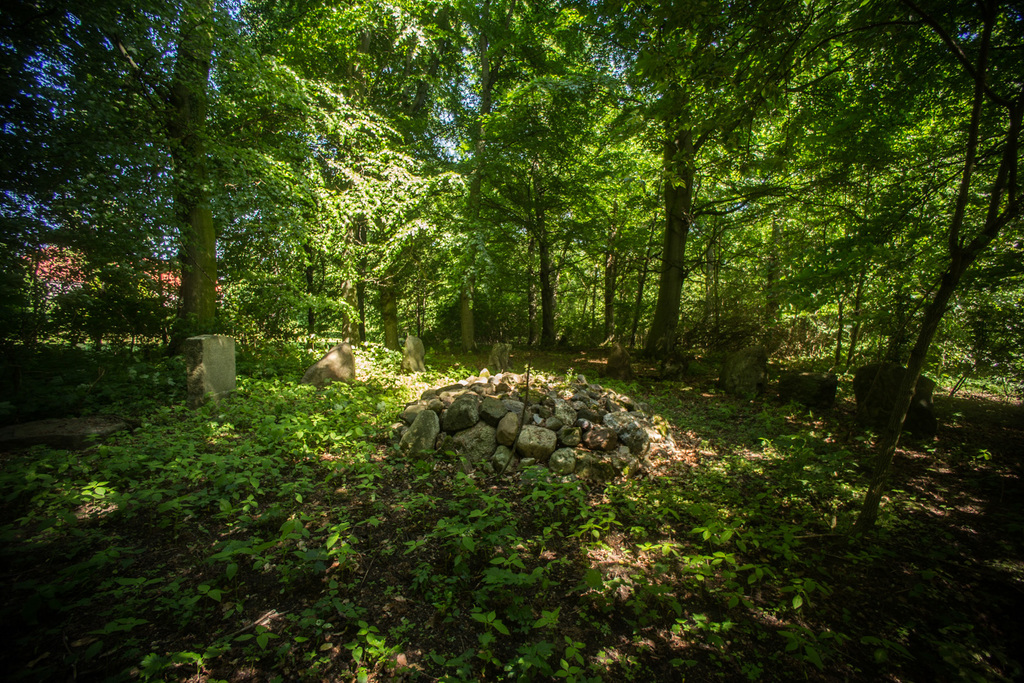 Dom na sprzedaż Przybysław 600 m2 | Arka Nieruchomości