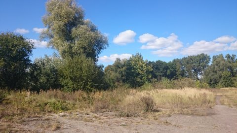 Działka na sprzedaż Radzanek 126 445 m2 | Arka Nieruchomości