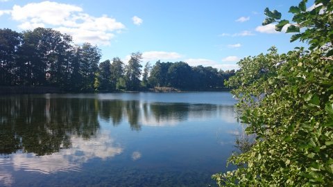 Działka na sprzedaż Radzanek 126 445 m2 | Arka Nieruchomości