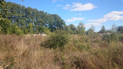 Działka na sprzedaż Radzanek 126 445 m2 | Arka Nieruchomości