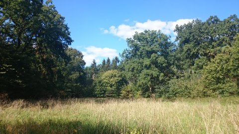 Działka na sprzedaż Radzanek 126 445 m2 | Arka Nieruchomości