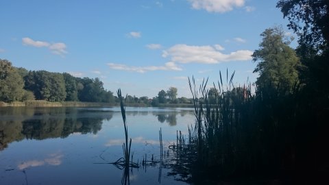 Działka na sprzedaż Radzanek 126 445 m2 | Arka Nieruchomości