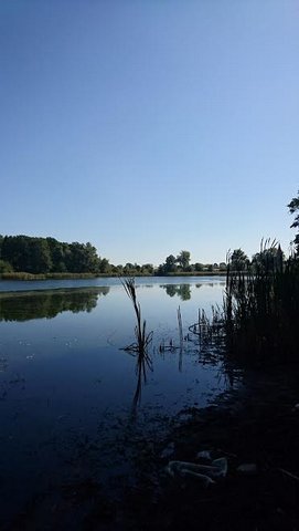 Działka na sprzedaż Radzanek 126 445 m2 | Arka Nieruchomości