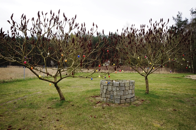 Obiekt na sprzedaż Tanowo 350 m2 | Arka Nieruchomości