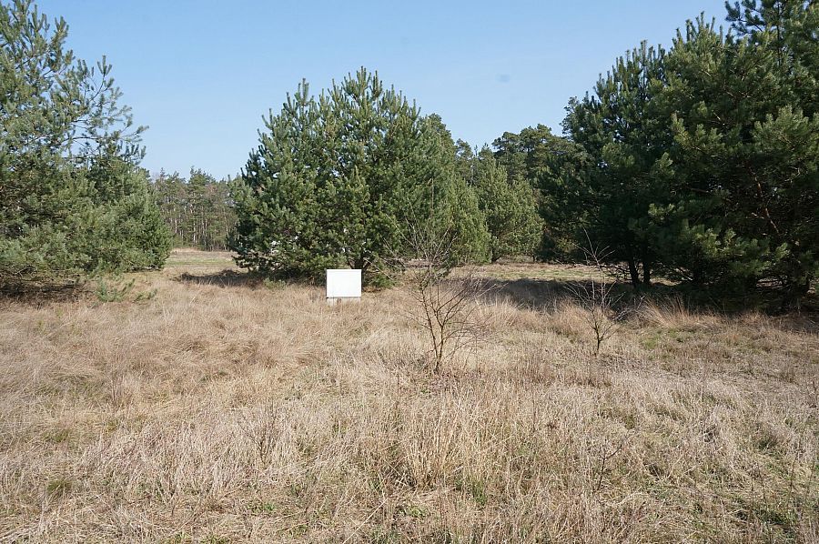 Działka na sprzedaż Rurzyca 1 723 m2 | Arka Nieruchomości