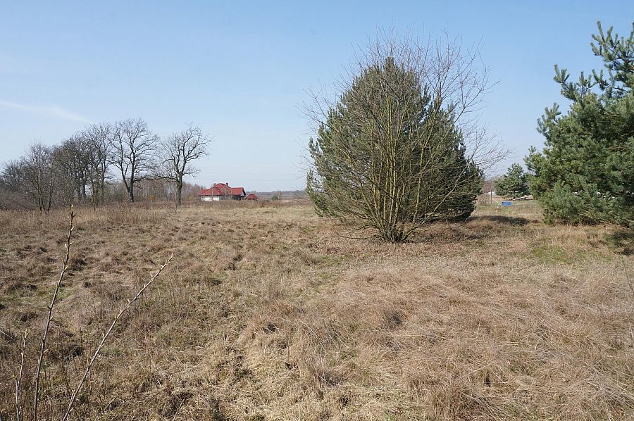 Działka na sprzedaż Rurzyca 1 723 m2 | Arka Nieruchomości