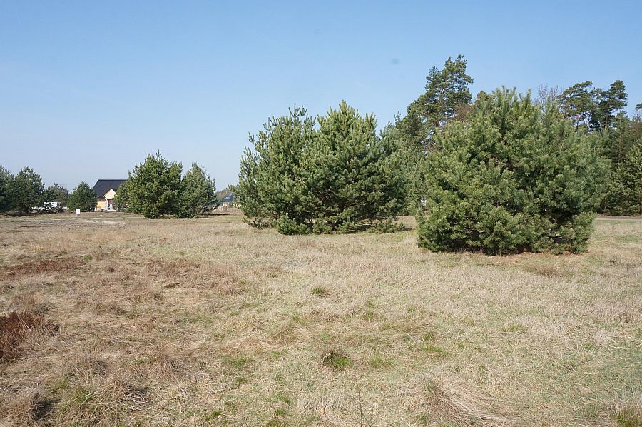 Działka na sprzedaż Rurzyca 1 723 m2 | Arka Nieruchomości