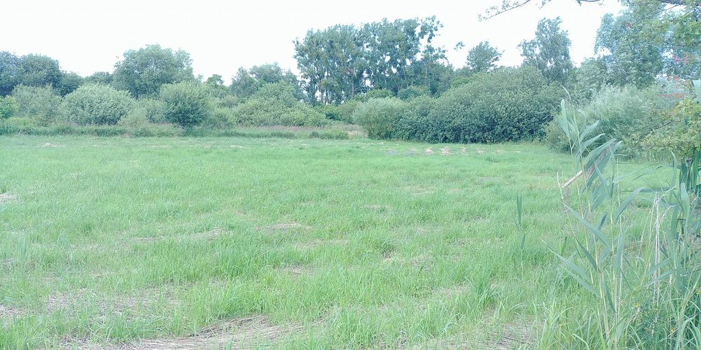 Działka na sprzedaż Trzebież 1 402 m2 | Arka Nieruchomości