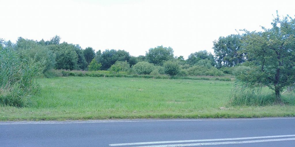 Działka na sprzedaż Trzebież 1 402 m2 | Arka Nieruchomości