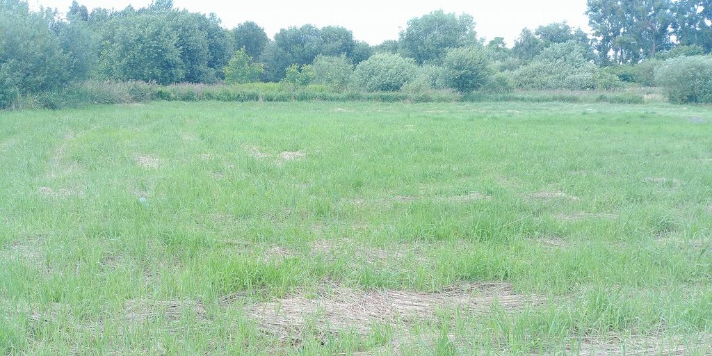 Działka na sprzedaż Trzebież 1 402 m2 | Arka Nieruchomości