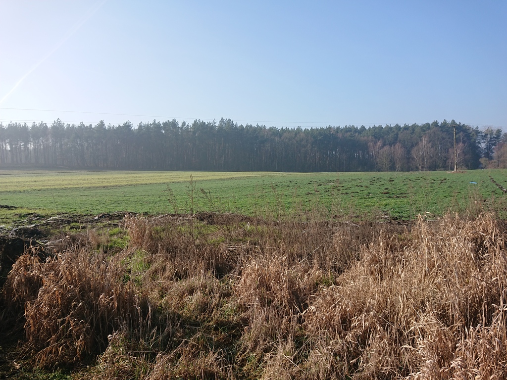Obiekt na sprzedaż Raduń 1 500 m2 | Arka Nieruchomości