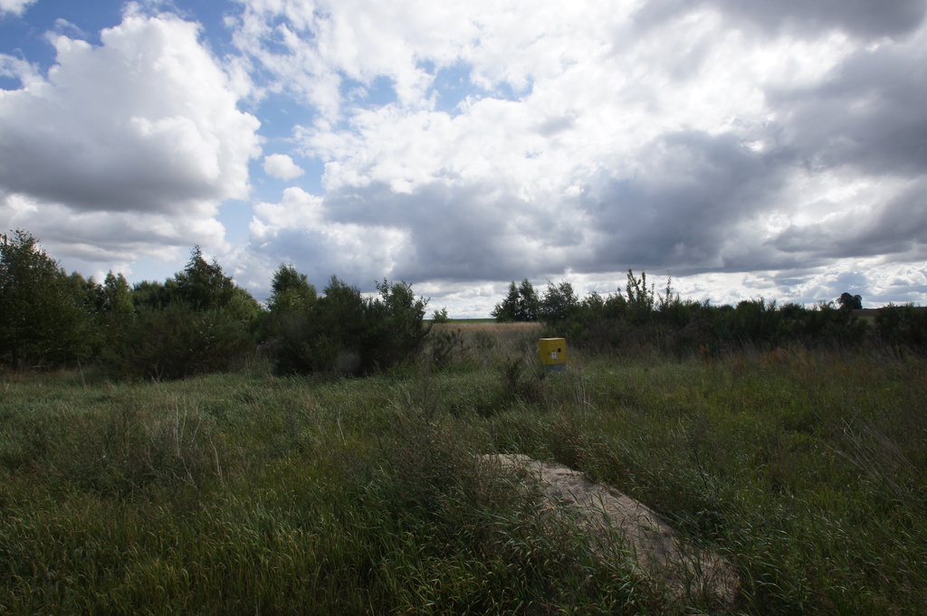 Działka na sprzedaż Charzyno 1 147 m2 | Arka Nieruchomości