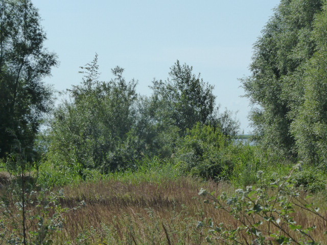Dom na sprzedaż Zagórze 640 m2 | Arka Nieruchomości